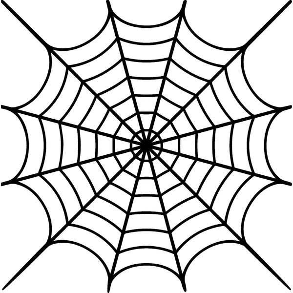 spiderweb-37.jpg