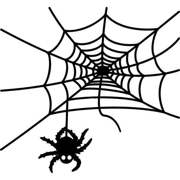 spiderweb-54.jpg