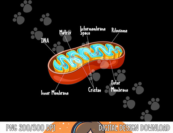 Mitochondria Cell Biology Biologist Science Teacher Student  png, sublimation copy.jpg