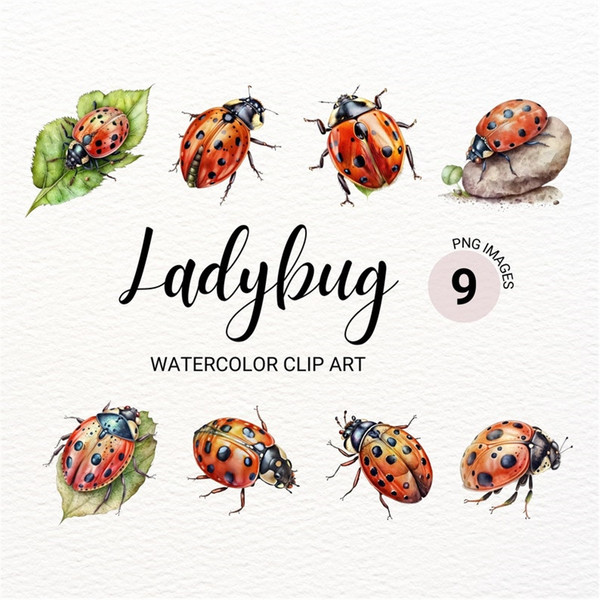 Watercolor Ladybug Clipart, Insect Clipart