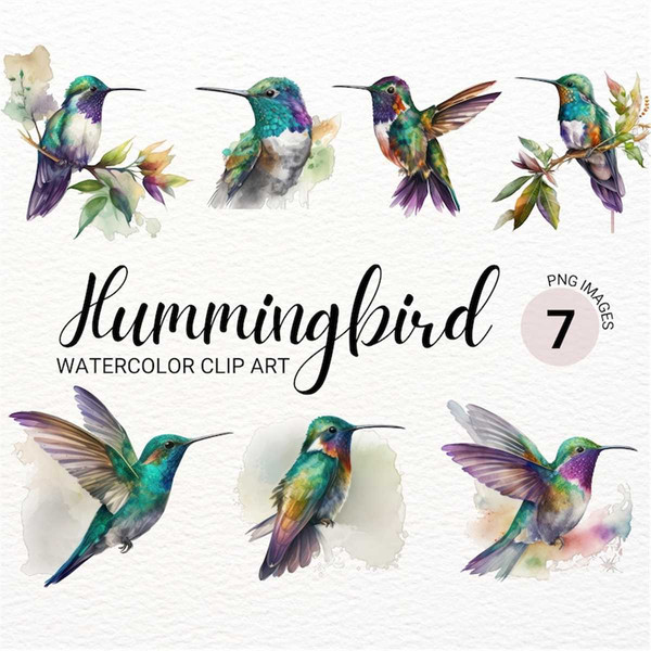  Womens Colorful Beautiful Hummingbirds for hummingbird lovers  V-Neck T-Shirt : Clothing, Shoes & Jewelry