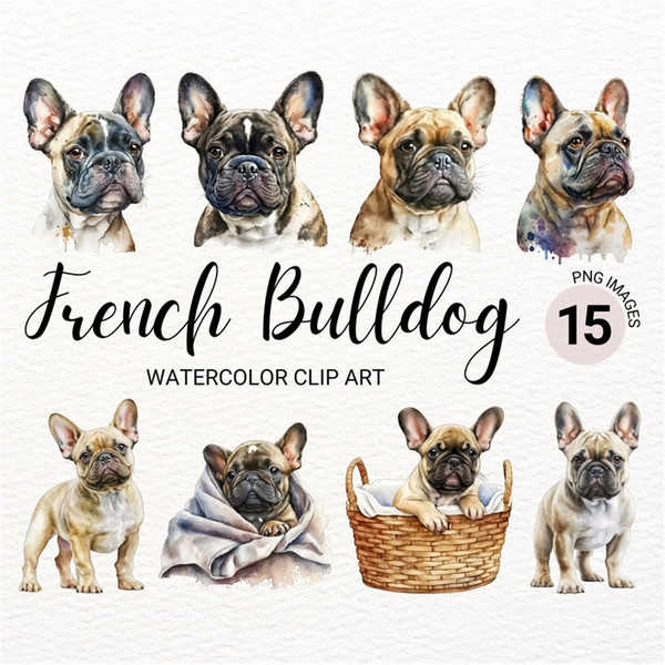 MR-2772023151437-french-bulldog-clipart-dog-png-watercolor-dog-clipart-image-1.jpg