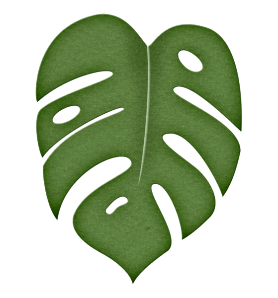 Leaf (1).png