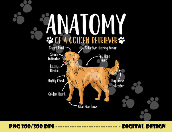 Golden Retriever Dog Anatomy  png, sublimation copy.jpg