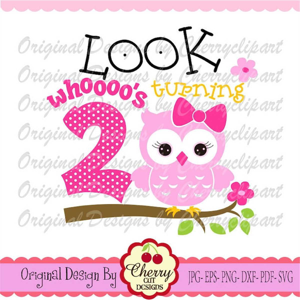 MR-982023192638-look-whoooos-turning-2-my-2nd-birthday-owl-svg-birthday-image-1.jpg