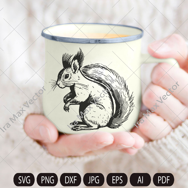 Squirrel SVG, Squirrel comic, Squirrel png,Squirrel vector, Squirrel detailed