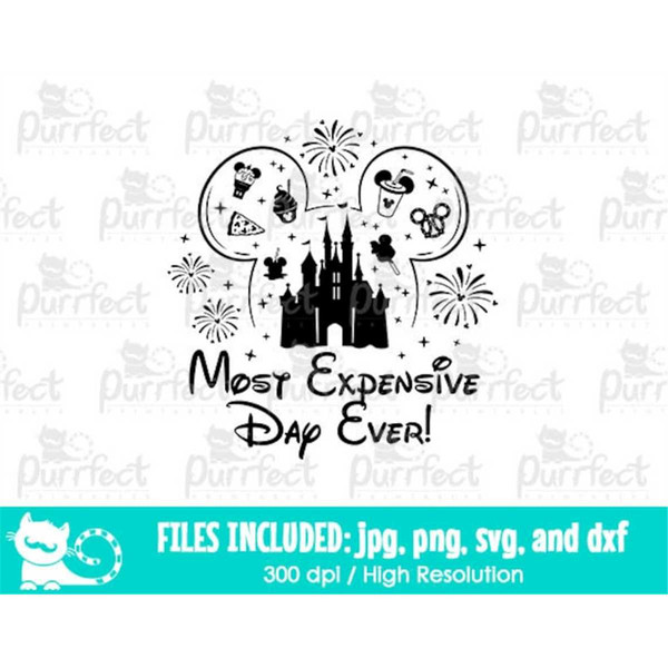 MR-1582023105216-mouse-most-expensive-day-ever-svg-family-trip-shirt-design-image-1.jpg