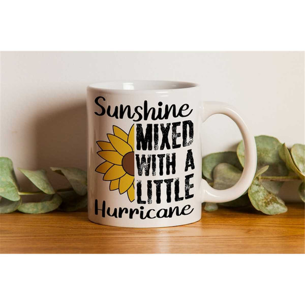 MR-1582023122952-sunshine-mixed-with-a-little-hurricane-svg-png-pdf-t-shirt-image-1.jpg