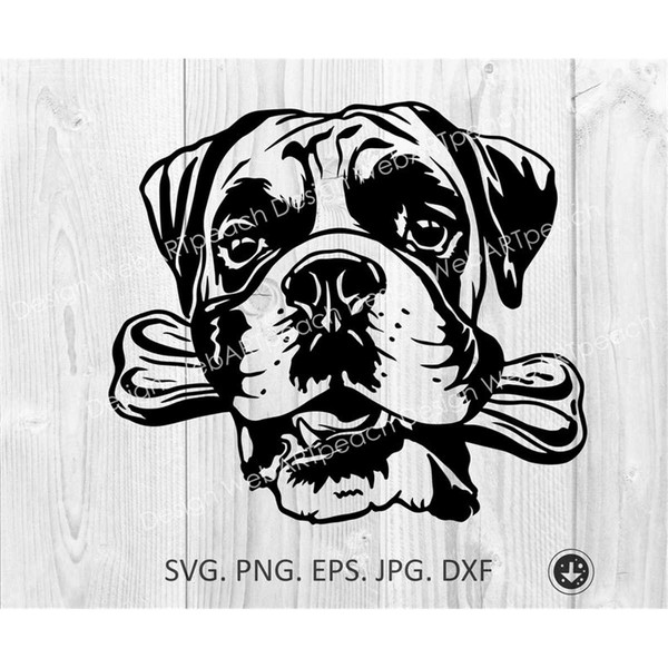 MR-1682023134735-boxer-svg-peeking-boxer-dog-breed-boxer-with-bone-teeth-image-1.jpg