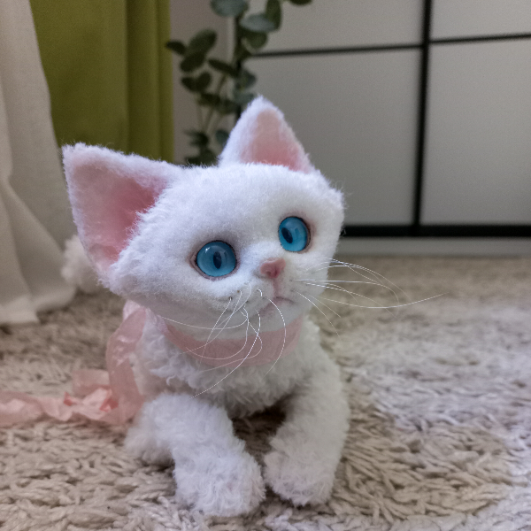 Whitekitten.jpg