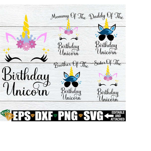 MR-208202314410-unicorn-birthdayfamily-unicorn-birthday-matching-family-image-1.jpg