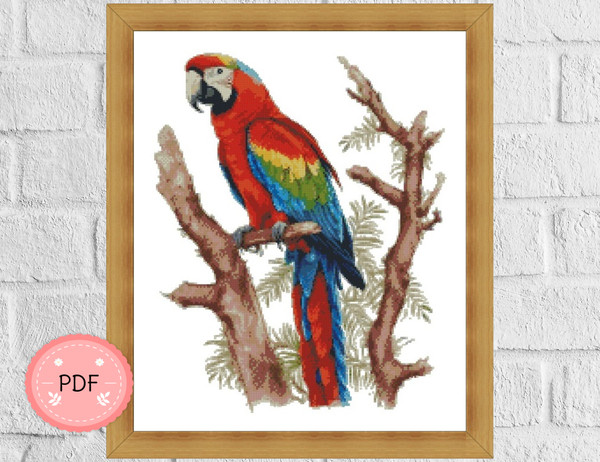 Scarlet Macaw8.jpg