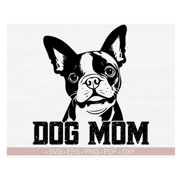 MR-228202384037-peeking-boston-terrier-svg-png-dog-mom-svg-dog-mama-svg-cut-image-1.jpg