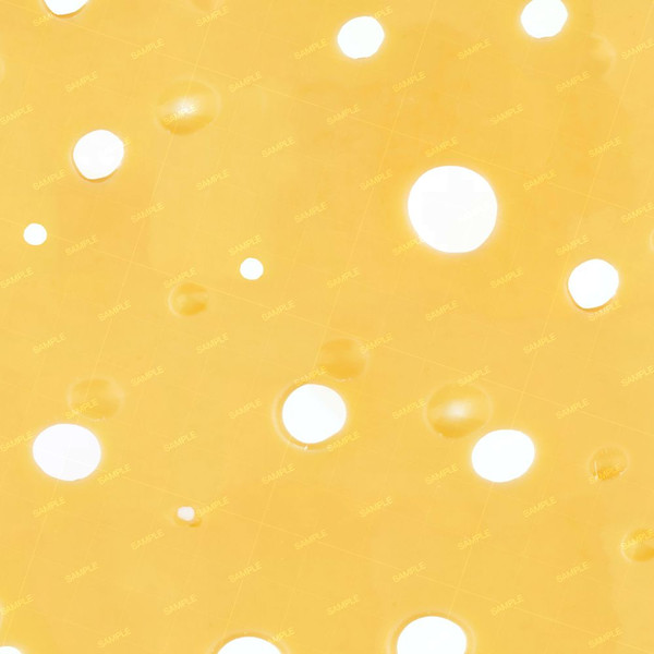 Swiss Cheese 24.jpg