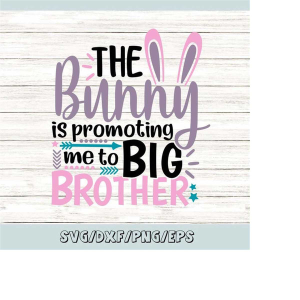 MR-248202320249-the-bunny-is-promoting-me-to-big-brother-svg-easter-svg-image-1.jpg