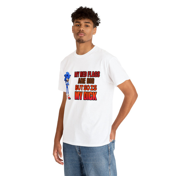 My Red Flags Are Big But So Is My Dick Sonic Meme Shirt - 6.jpg