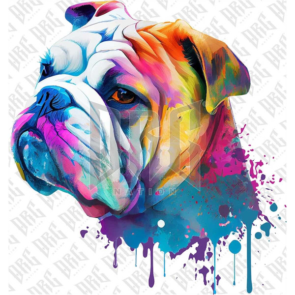 MR-2682023191847-english-bulldog-png.jpg