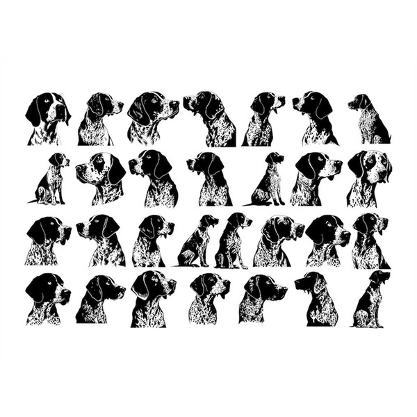 MR-278202310271-pointer-dog-svg-pointer-clipart-pointer-svg-files-for-image-1.jpg