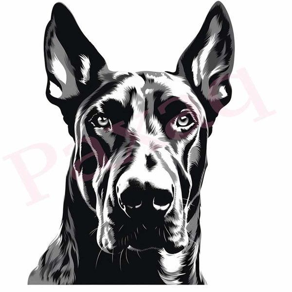 MR-288202394318-doberman-svg-ruthless-doberman-svg-doberman-fleece-doberman-image-1.jpg