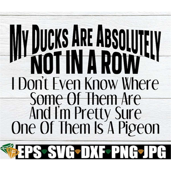 MR-2982023164138-my-ducks-are-not-in-a-row-i-think-my-ducks-are-pigeons-adult-image-1.jpg