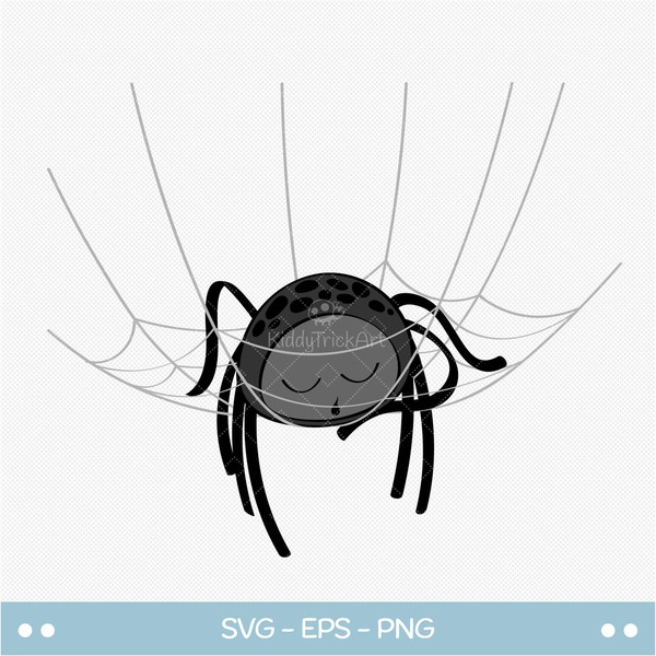 Sleeping spider on web.jpg