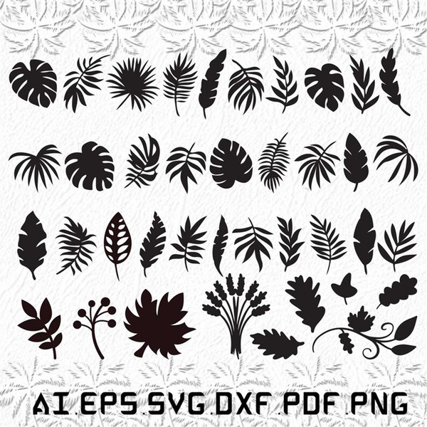 MR-1292023212946-leaves-svg-jungle-leaves-svg-palm-jungle-svg-monstera-fall-image-1.jpg