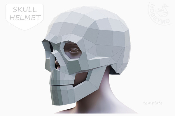 skull helmet_1200px.jpg