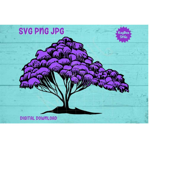 MR-1692023154758-jacaranda-tree-svg-png-jpg-clipart-digital-cut-file-download-image-1.jpg