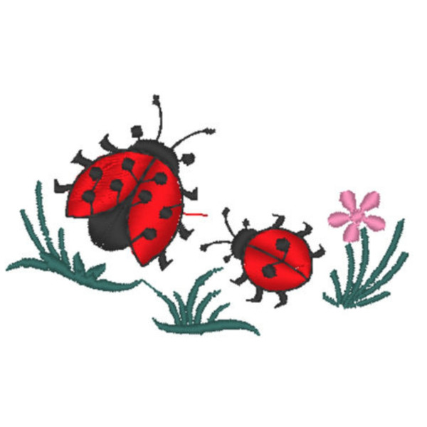 Ladybug .jpg