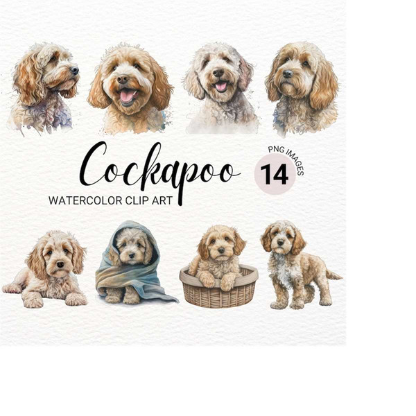 MR-179202311559-cockapoo-clipart-cute-dog-clipart-dog-png-watercolor-image-1.jpg