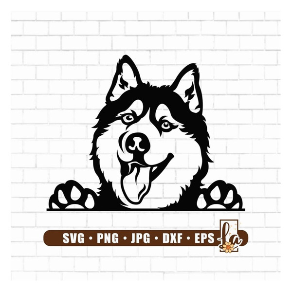 MR-209202318337-siberian-husky-svg-peeking-smiling-dog-svg-sled-dog-svg-image-1.jpg