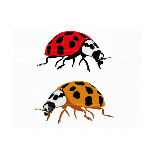 MR-2192023152431-ladybug-svg-bundle-ladybug-clipart-ladybug-vector-ladybug-cut-image-1.jpg