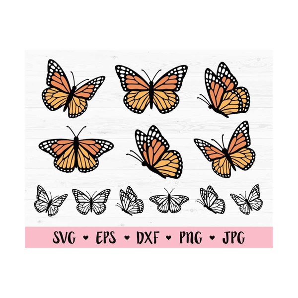 Butterfly Outline SVG Cut File