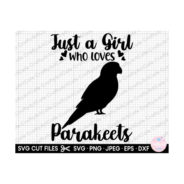 MR-2592023202537-just-a-girl-who-loves-parakeets-svg-png-parakeet-svg-parakeet-image-1.jpg