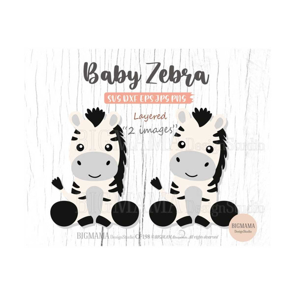 MR-26920238032-baby-zebra-svgzebra-svg-for-cricutcut-image-1.jpg