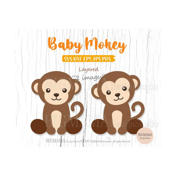 MR-269202385017-baby-monkey-svgmonkey-svg-for-cricutcut-image-1.jpg