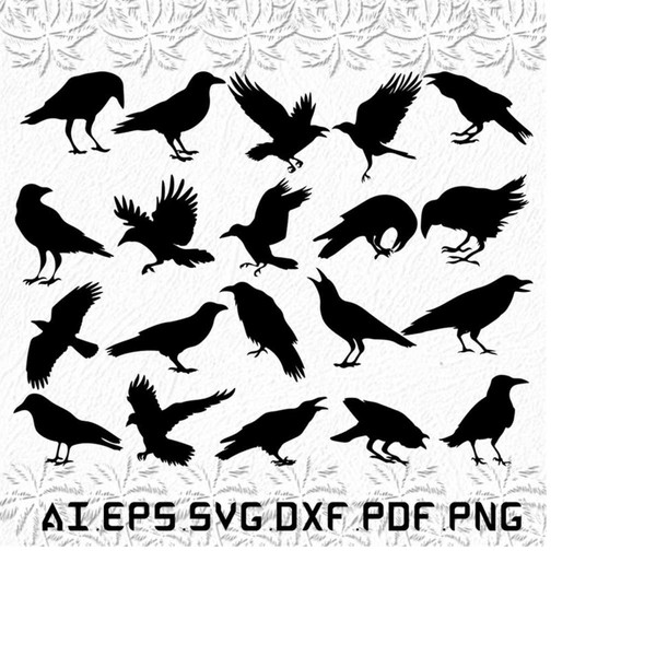 MR-2892023203440-crow-svg-crows-svg-raven-svg-bird-black-svg-ai-pdf-image-1.jpg