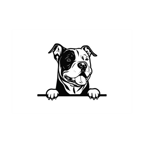 MR-2992023102049-peeking-american-bully-svg-peeking-american-bully-clipart-image-1.jpg