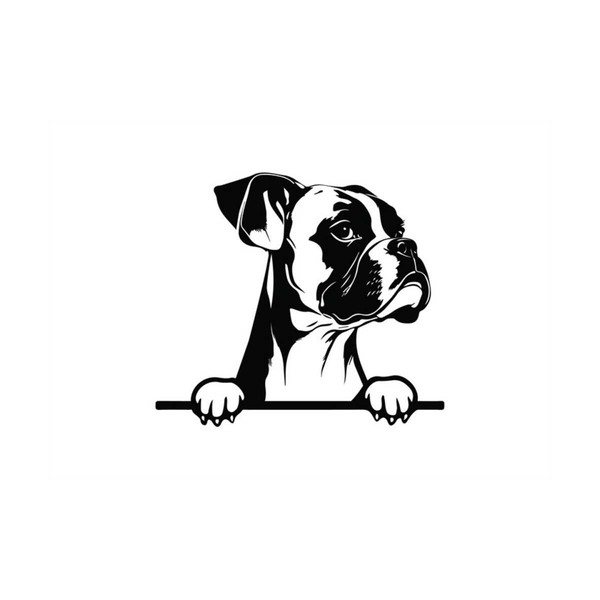 MR-2992023102327-peeking-boxer-svg-peeking-boxer-clipart-peeking-boxer-dog-image-1.jpg