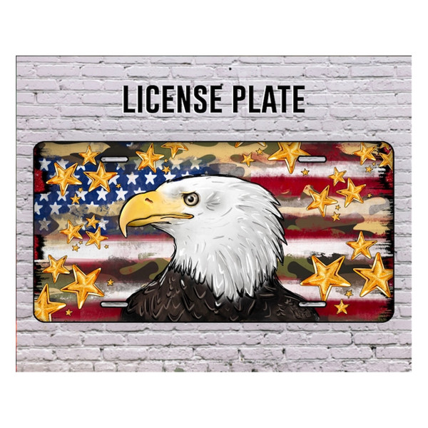 MR-3102023162232-eagle-license-plate-pngamerican-patriotic-eagle-license-image-1.jpg