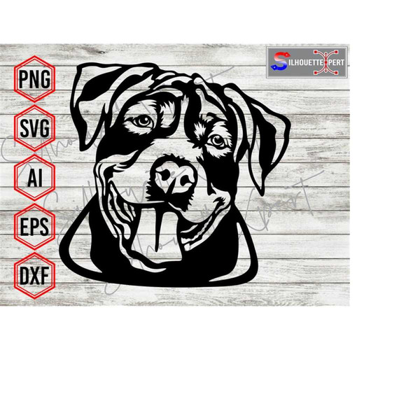 MR-4102023104116-american-pitbull-svg-pitbull-face-svg-american-bully-svg-image-1.jpg