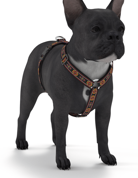 Dog Harness MINI Print_13.png