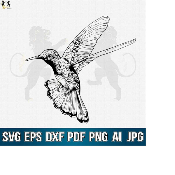 MR-41020232031-hummingbird-svg-hummingbird-clipart-hummingbird-vector-image-1.jpg