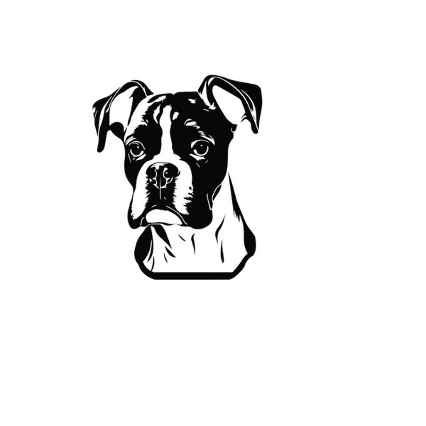 MR-510202316451-boxer-head-svg-boxer-head-clipart-boxer-head-dog-svg-files-image-1.jpg