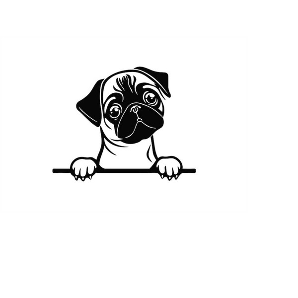 MR-5102023171249-peeking-pug-svg-peeking-pug-clipart-peeking-pug-svg-files-image-1.jpg