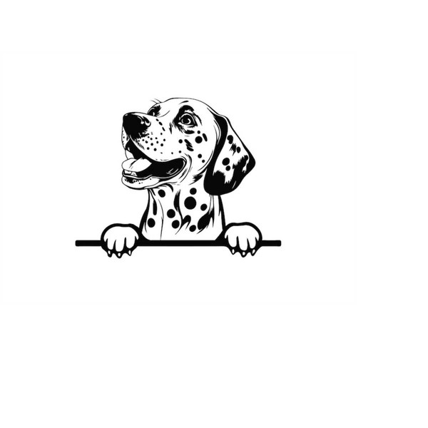 MR-510202319480-peeking-dalmatian-svg-peeking-dalmatian-clipart-peeking-image-1.jpg