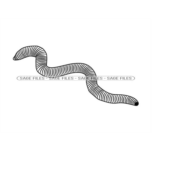 MR-6102023111619-worm-2-svg-worm-svg-maggot-svg-worm-clipart-worm-files-image-1.jpg