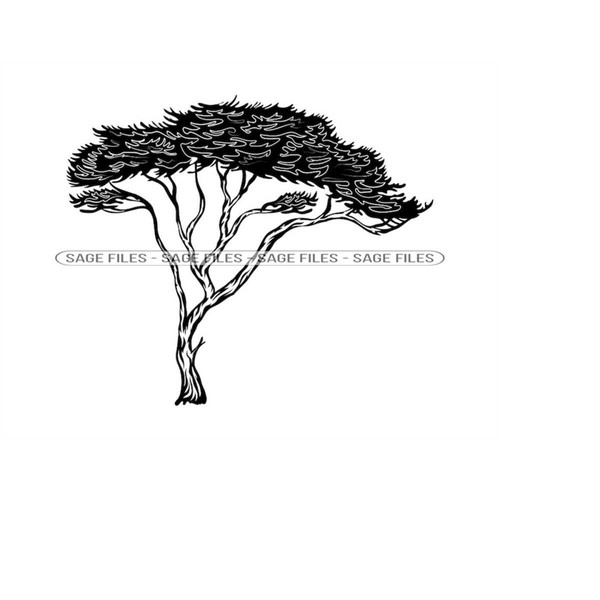 MR-6102023141449-safari-tree-svg-safari-svg-african-tree-svg-tree-clipart-image-1.jpg