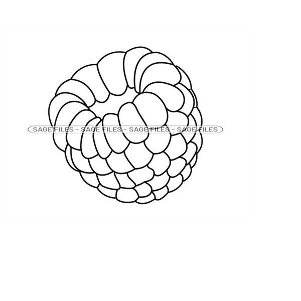 MR-6102023174435-raspberry-outline-svg-raspberry-svg-fruit-svg-raspberry-image-1.jpg