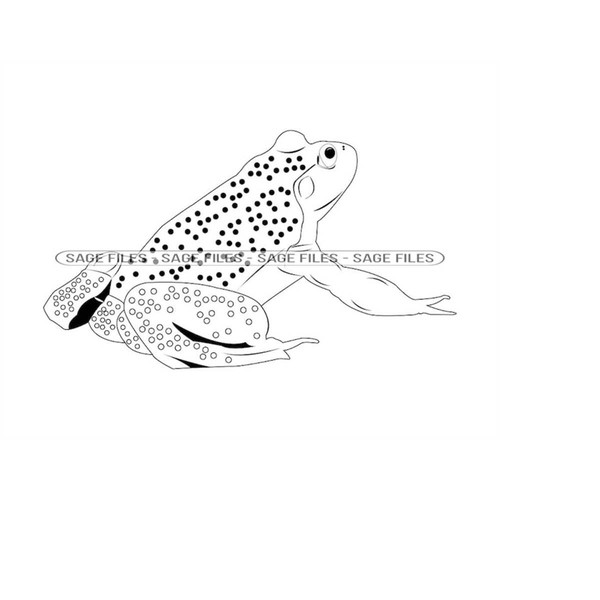 MR-910202312113-frog-outline-2-svg-frog-svg-toad-svg-frog-clipart-frog-image-1.jpg